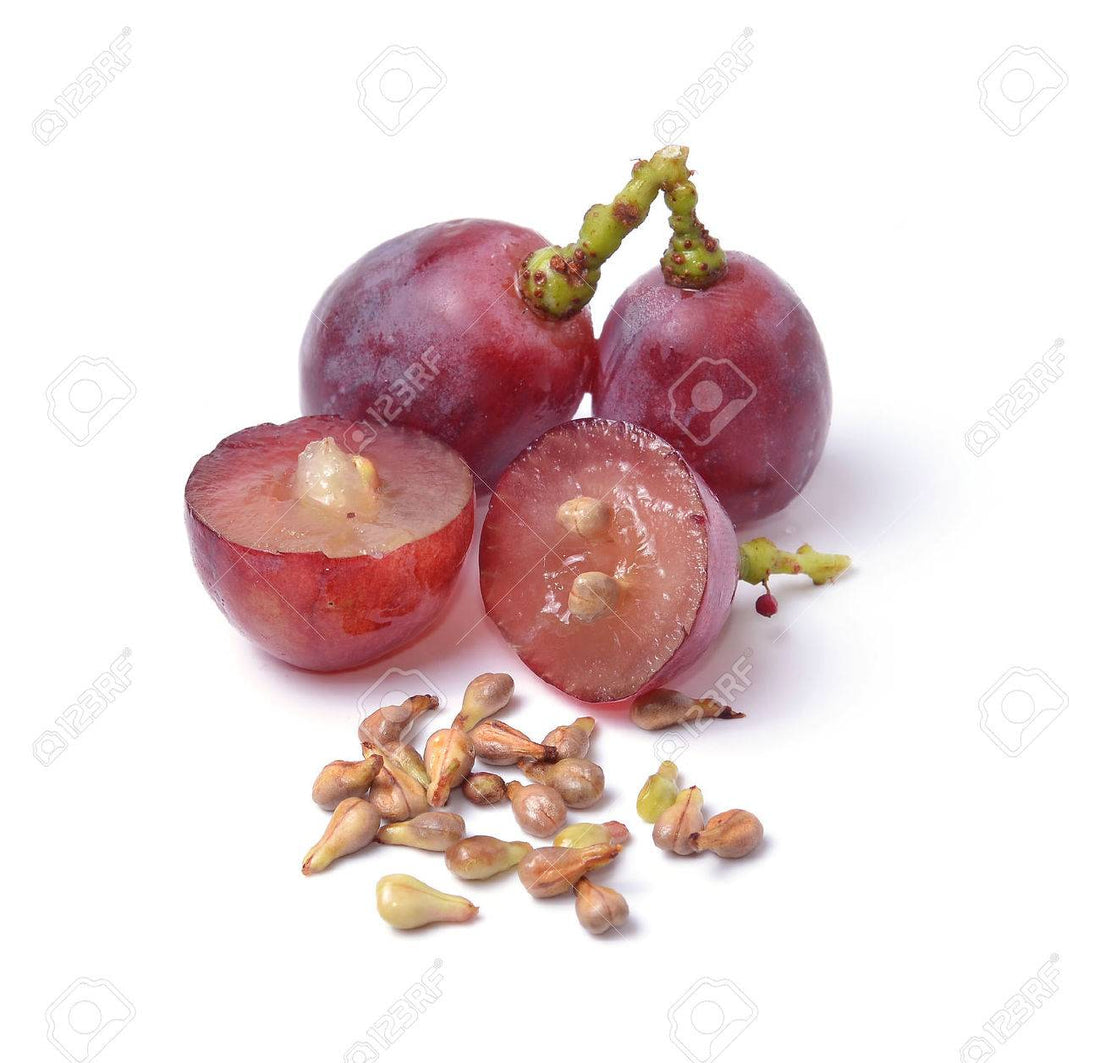 Copy of Copy of Copy of Grape seed extract, the anti-ageing hero - May 01, 12:15:54 - May 01, 12:16:02 - May 01, 12:16:09