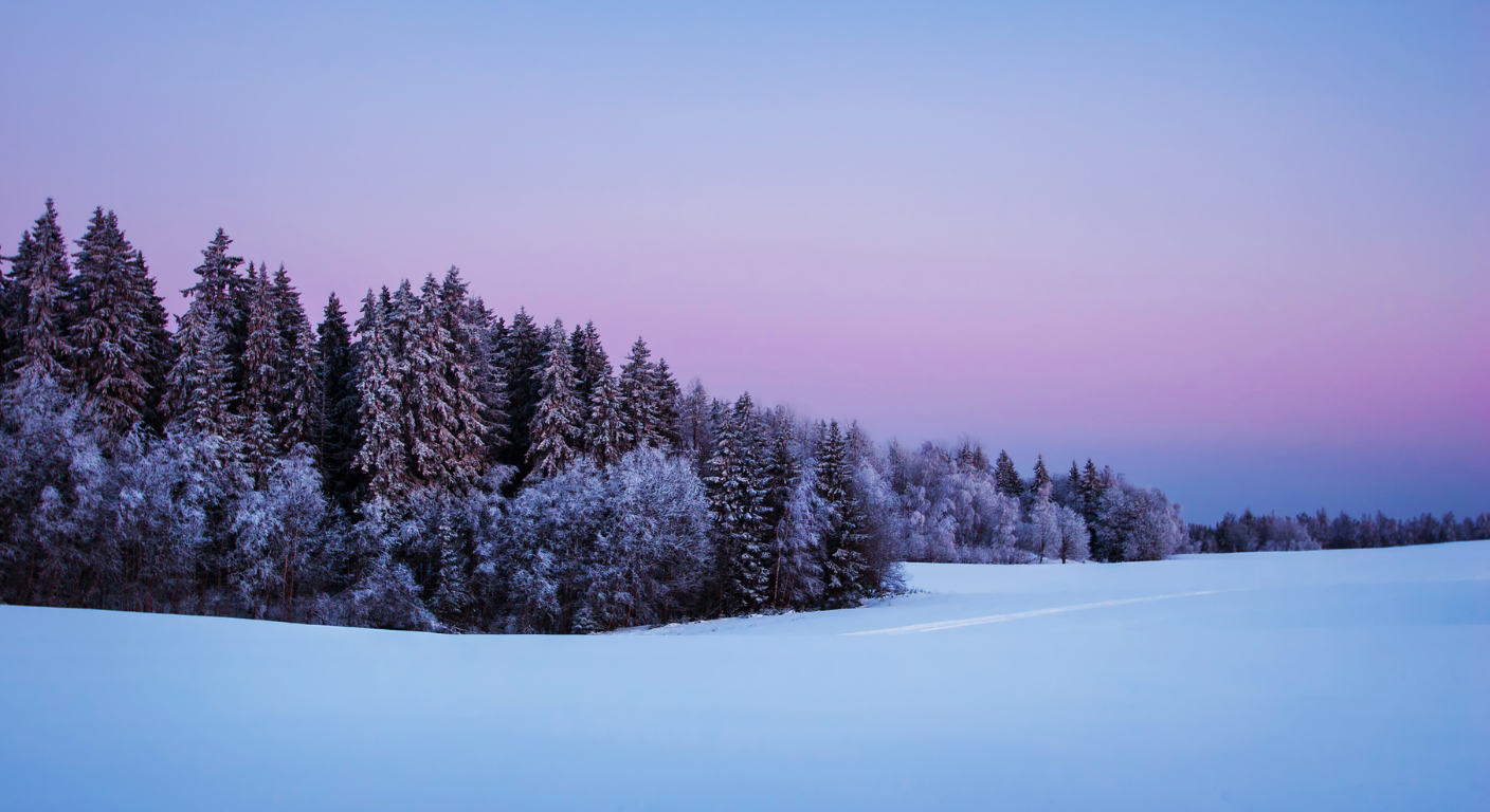 Snow-covered trees under a pink and blue sky